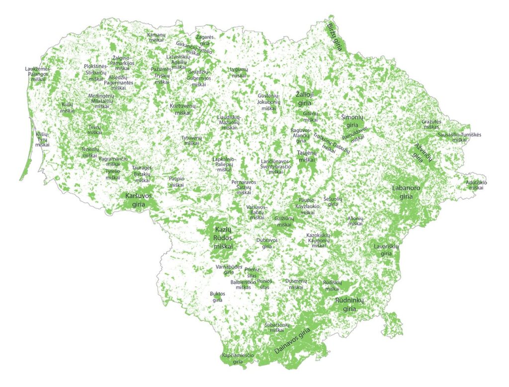 Lietuvos miškai